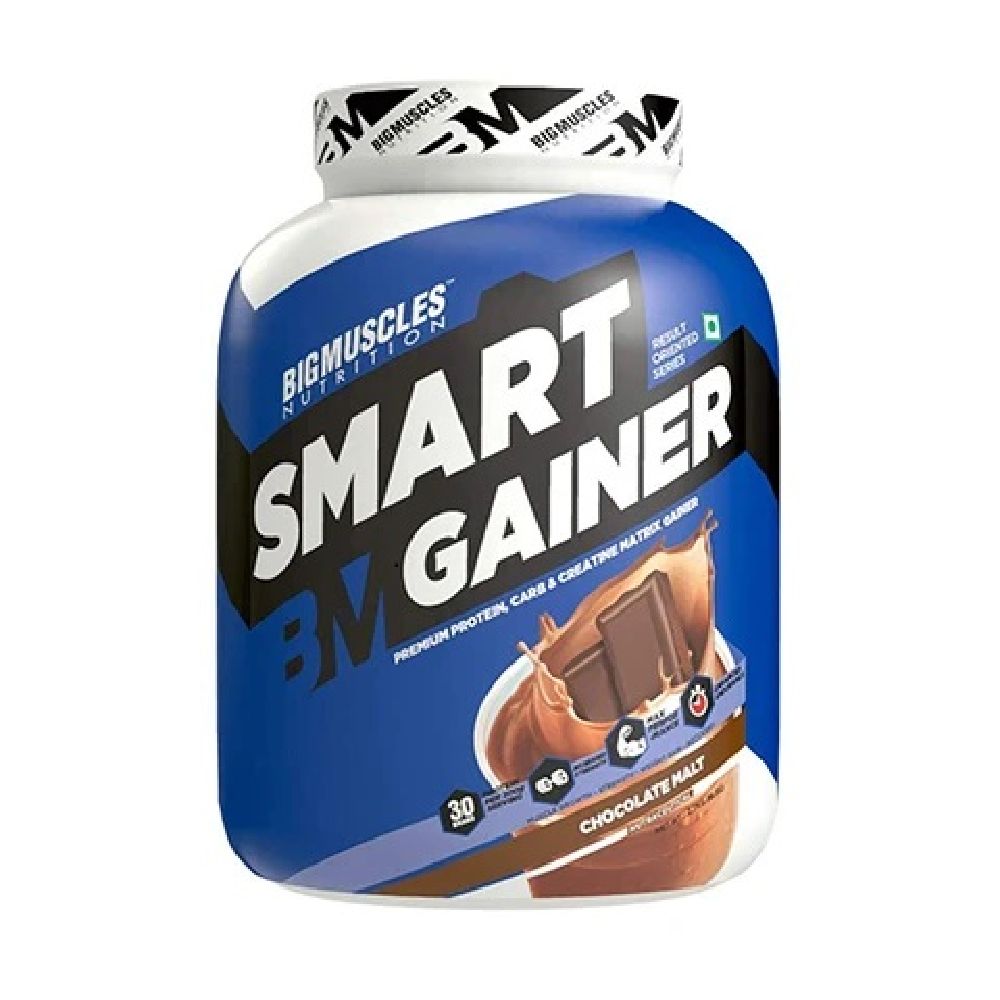 Big Muscles Smart Gainer